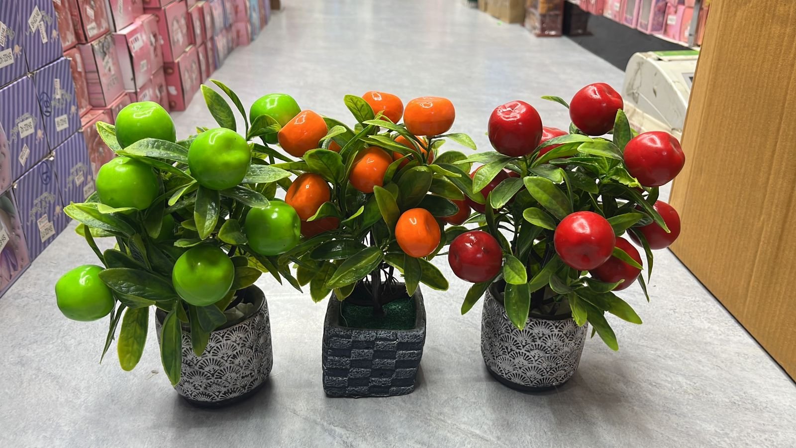 Miniature Orange Fruit Botanical Bonsai